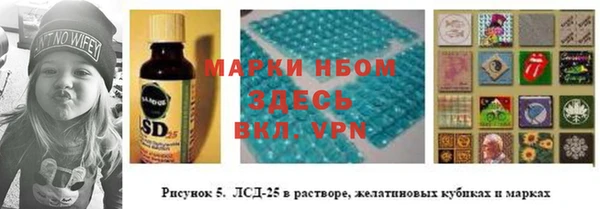 гидра Верея