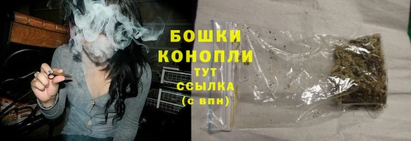 гидра Верея