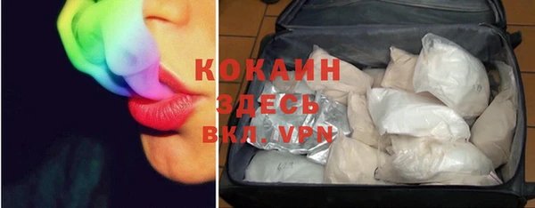 гидра Верея