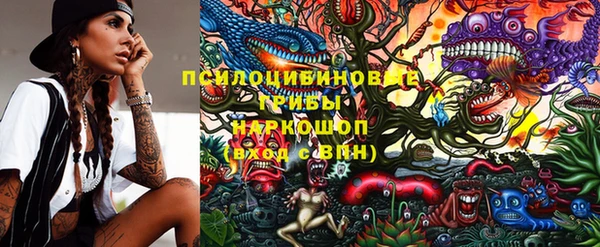гидра Верея